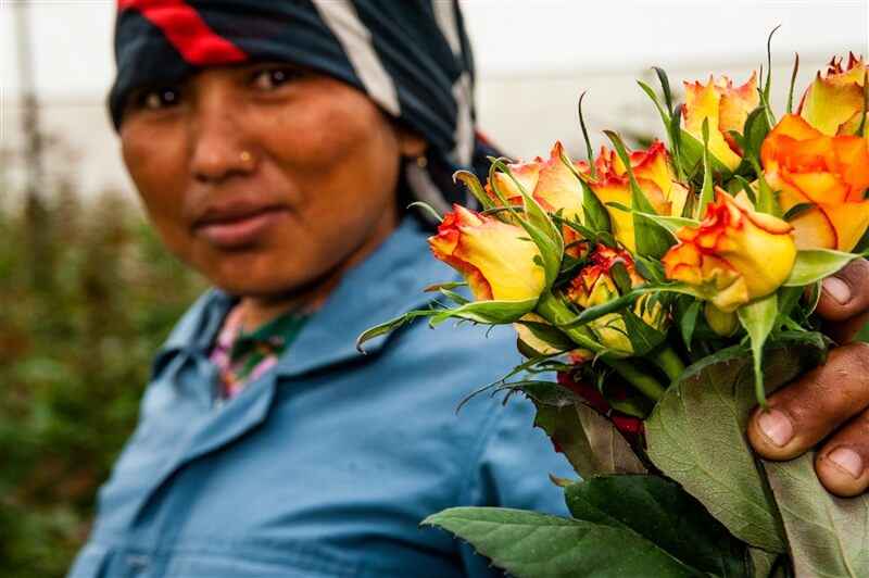 Female employee showing yellow roses