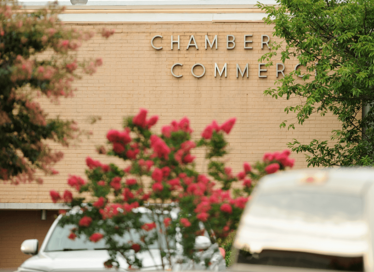 Employers and Business Support Organisations