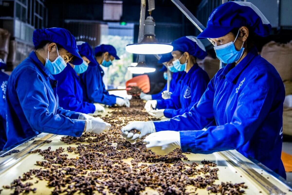 Creating social impact in Vietnam