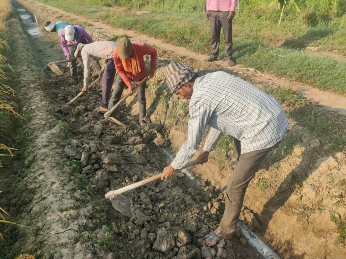 A Dairy Farm Centre of Excellence in India
