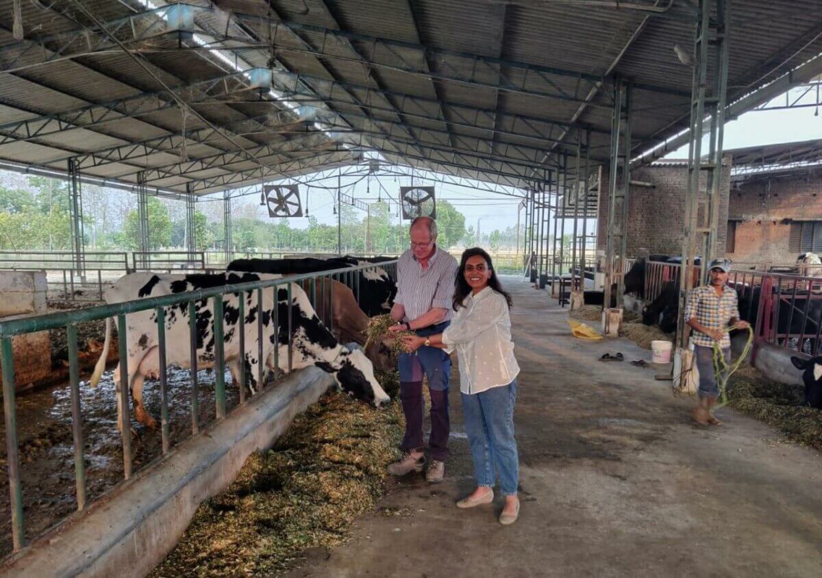 A Dairy Farm Centre of Excellence in India