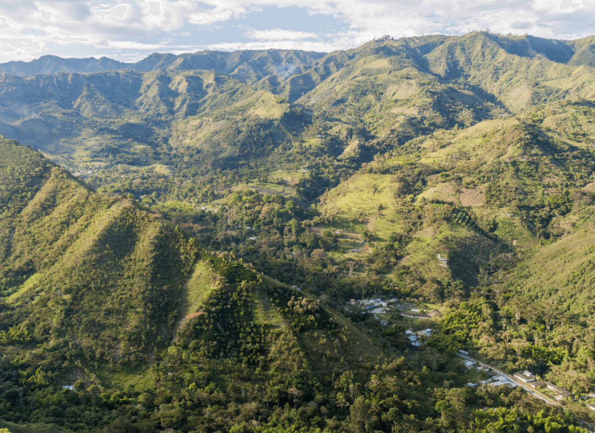 From coffee to avocados in Cauca, Colombia
