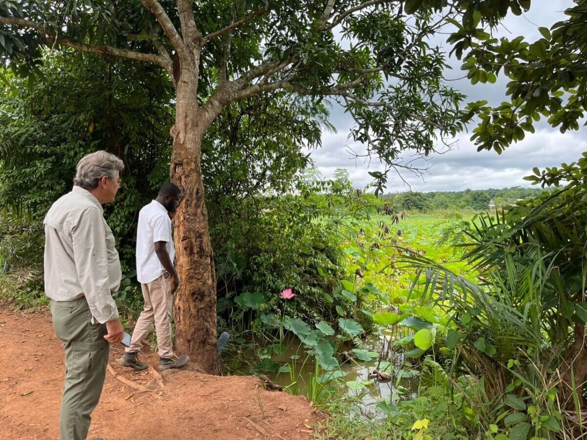 waste and environment