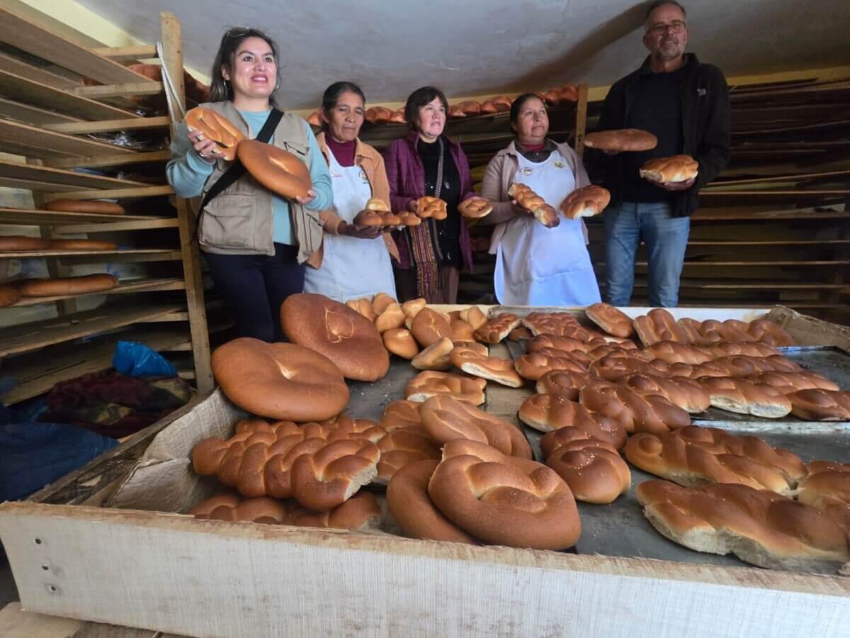 expert Erik van den Einden